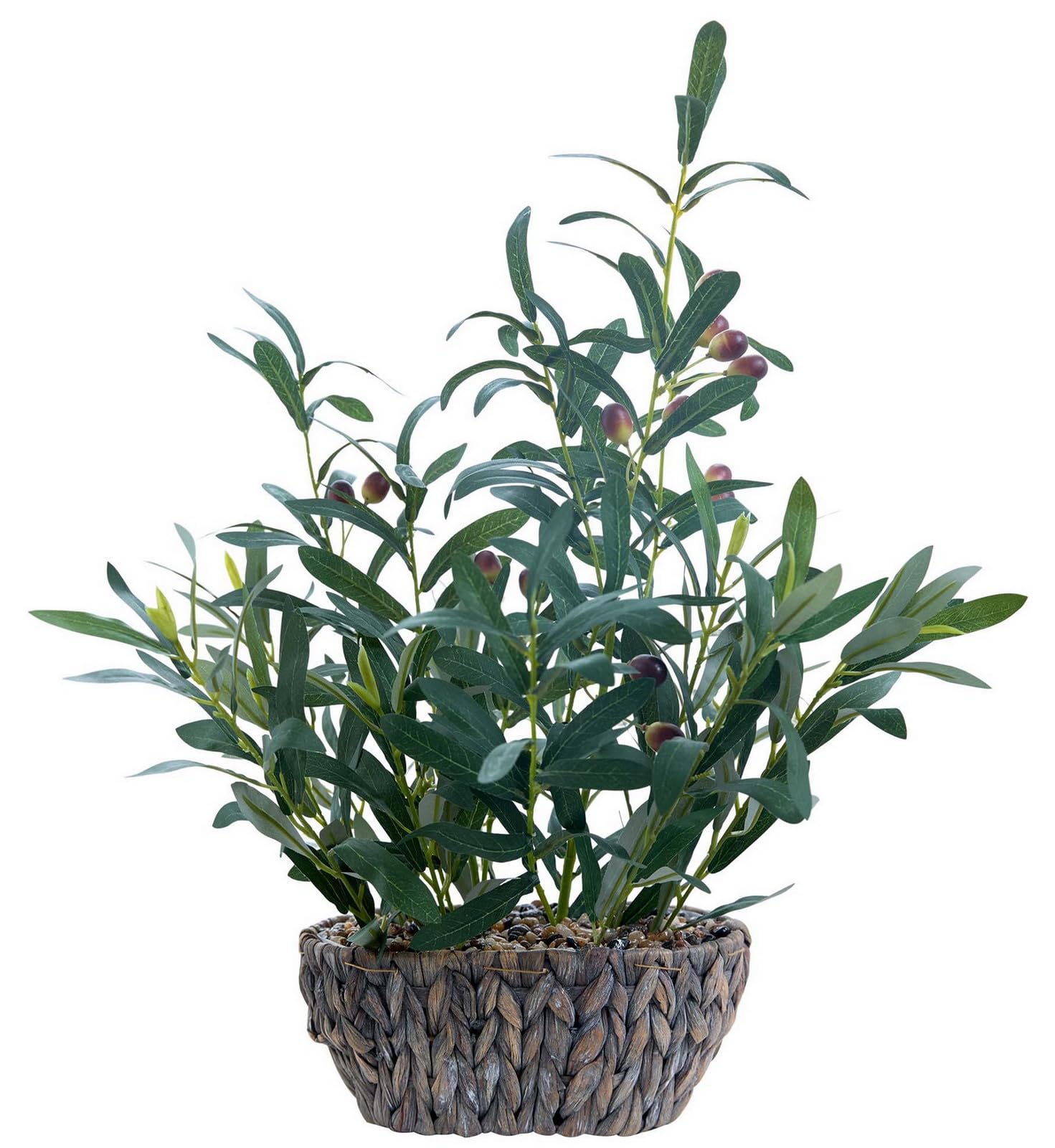 Amazon.com: AlphaAcc Olive Fake Plants 21'' Tall Artificial Olive